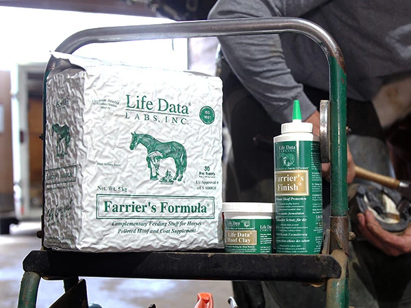 Das Ergänzungsfuttermittel Farrier's Formula sowie Hoof Clay und Farrier's Finish von Life Data Labs stehen auf dem Werkzeugwagen des Hufschmieds, der im Hintergrund gerade ein Pferd beschlägt.