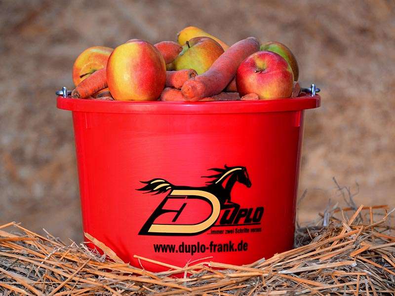 A red feed bucket for horses stands in hay, filled with apples and carrots.