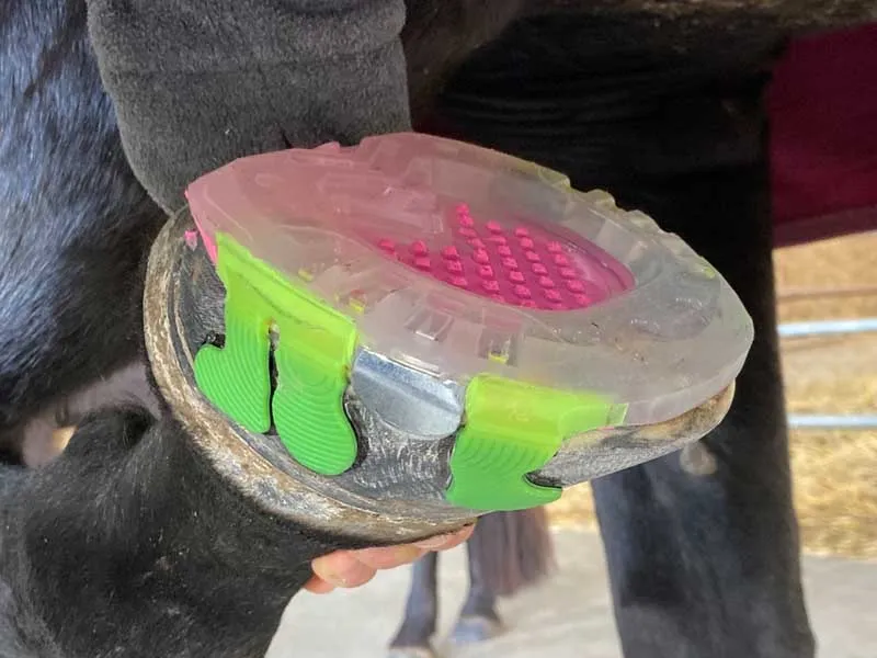 Herradura pegada con pestañas laterales y suela cerrada, con material de relleno SHUDIM de color rosa en el casco del caballo.