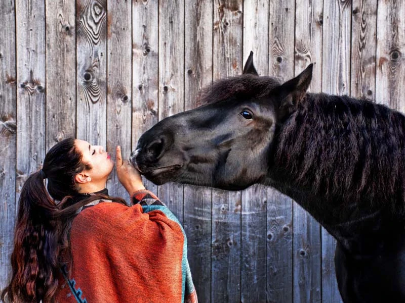 Eine Frau in einem bunten Poncho steht vor einer Holzwand und streichelt liebevoll die Schnauze eines schwarzen Kaltbluts. Das Pferd neigt den Kopf sanft zu ihr hin.