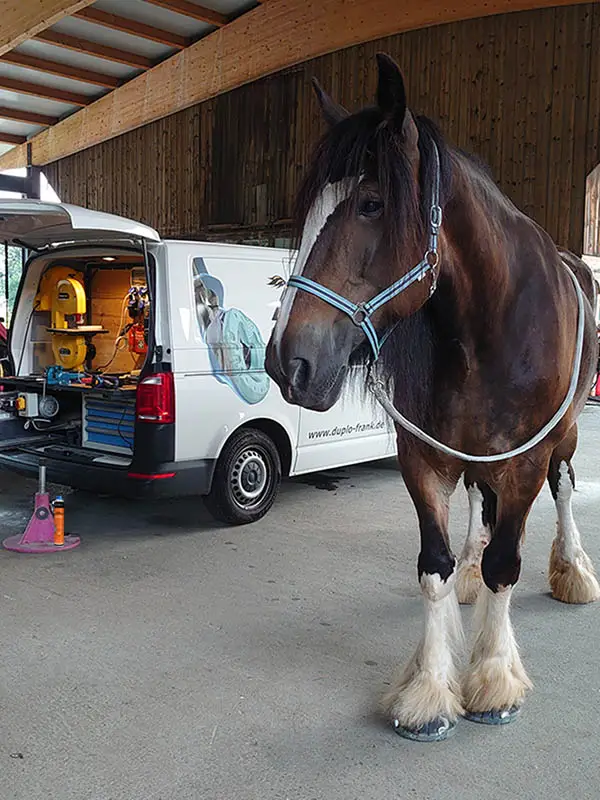 A draft horse stands in front of the farrier's van, its hooves fitted with alternative adhesive horseshoes. In the background, the Shu Cleaner hoof cleaner from glue-u is visible next to the hoof stand.