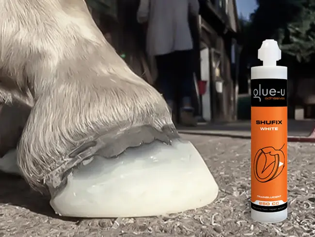 Gros plan d’un sabot de poulain traité avec SHUFIX sur des pierres. Une cartouche SHUFIX de glue-u est visible à côté.
