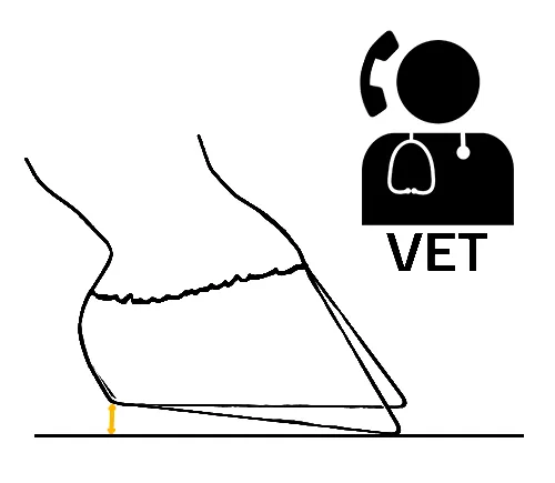 Trachten-Erhöhung mit Tierarzt-Symbol um darauf aufmerksam zu machen, dass im Falle eines Keilbeschlags zur Änderung des Hufwinkels der Tierarzt mit einzubeziehen ist
