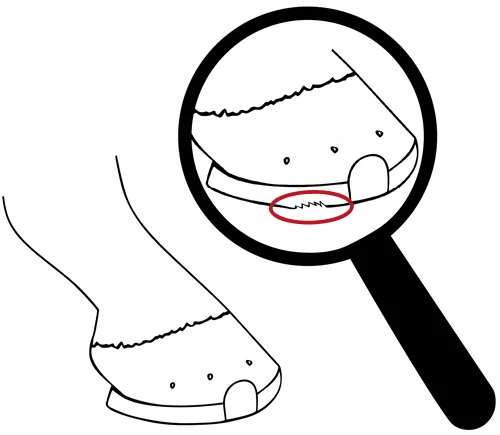 Auf solche Probleme ist bei der täglichen Kontrolle des Hufschutzes zu achten: ausgefranste Bodenseite eines Duplo-Beschlags.