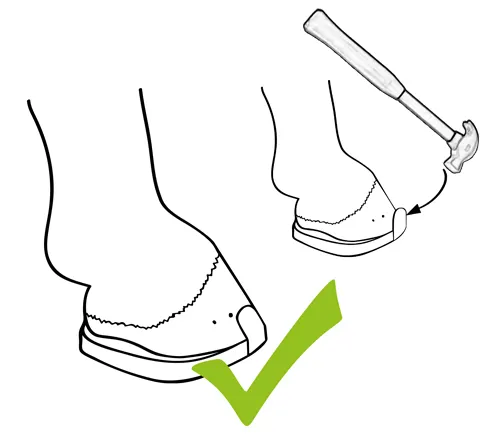 Die Seitenkappe des Duplo-Beschlags wird mit dem Hammer an den Winkel der Hufwand angepasst.