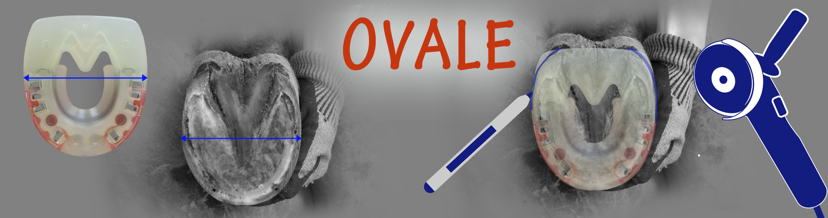ovale