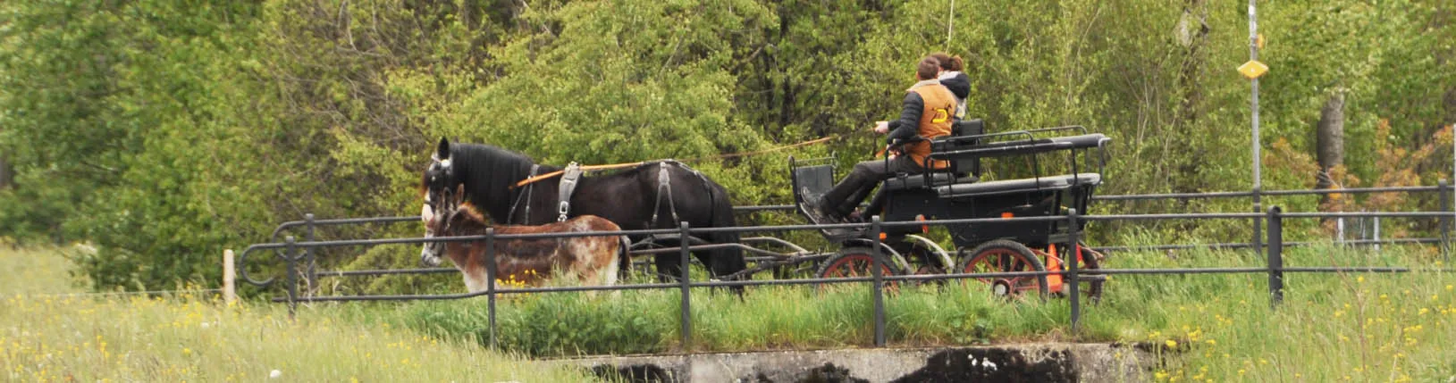 A couple is driving a horse-drawn carriage across a bridge, and alongside them, an donkey is walking.