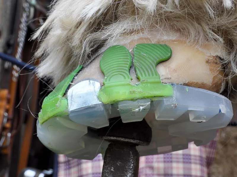 gluing a draft horse shoe