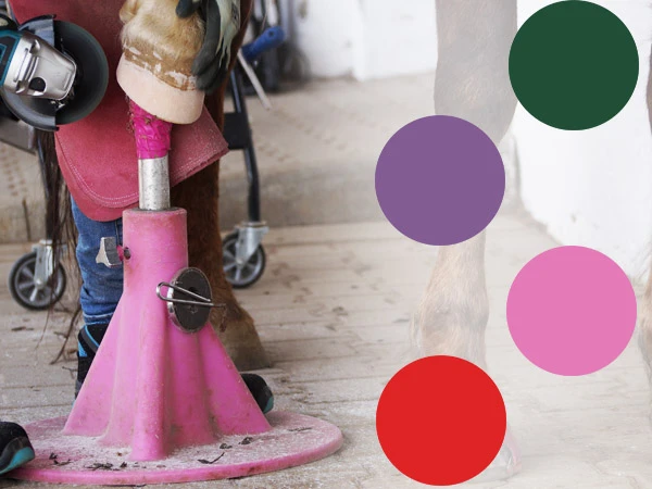 Kerckhaert Hoofjack® Regular in verschiedenen Farben – stabiler Hufbock mit Kunststoffbasis in grün, lila, rot und pink für Hufbeschlag und Barhufbearbeitung.