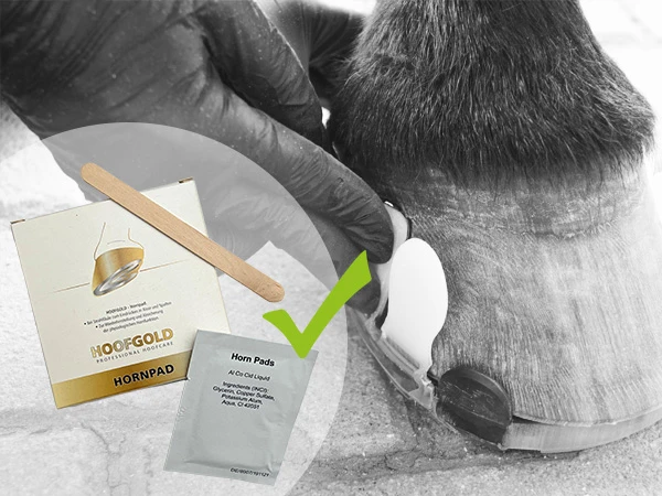 Los Hornpads no deben entrar en contacto con la superficie del casco destinada al pegado. Se recomienda interrumpir brevemente el tratamiento con Hornpads antes de colocar las herraduras de pegar.