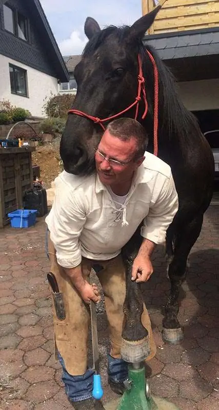 Das Pferd legt seinen Kopf auf die Schulter des Hufbearbeiters. Er hält eine Hufraspel in der Hand.