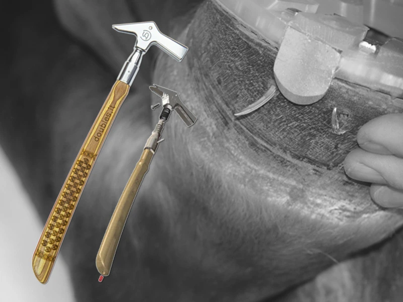 Product photo of the Double S driving hammer and technical illustration of the anti-shock system in the hammer handle.