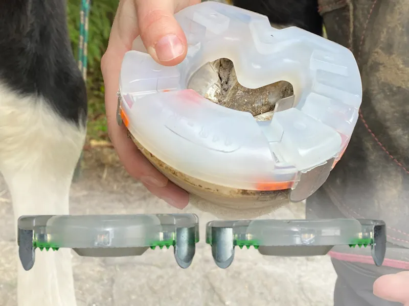 immagine comparativa che mostra la differenza tra il rivestimento in plastica del ferro HDS e una ferratura Duplo regolare