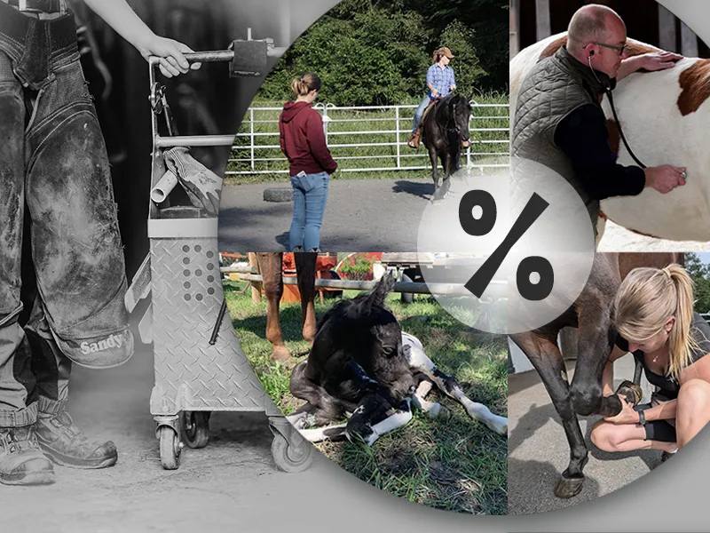 Collage di diversi clienti che ricevono un prezzo commerciale agevolato: maniscalco, veterinario, allevatore, fisioterapista e istruttore di equitazione.