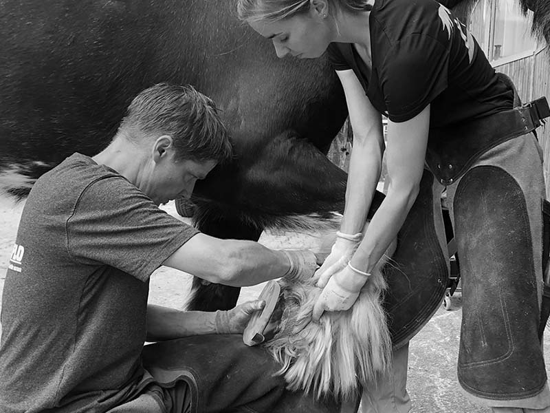 A farrier checks the fit of a composite horseshoe with clips on the horse's hoof.  Another person picks up the hoof.