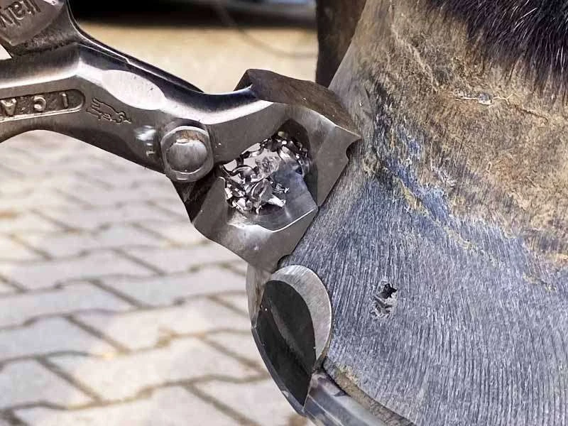 ICAR Zange mit Magnet