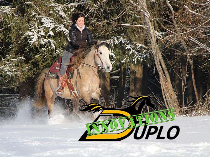 Cavalier galoppe dans la neige