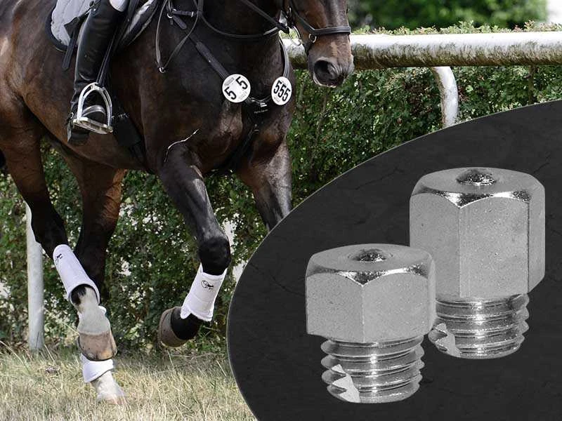 Pferd galoppiert über eine Wiese in einem Vielseitigkeits-Wettkampf und Stollen im Detail