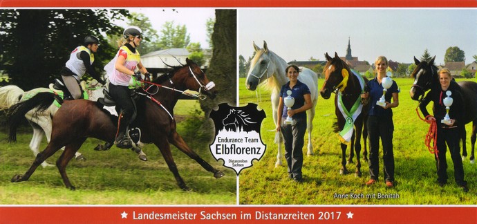 Campeón estatal de resistencia 2017 - Endurance Team Elbflorenz