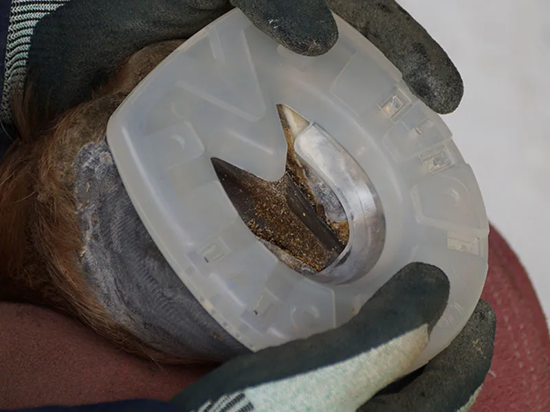 Kunststoffbeschlag am Huf