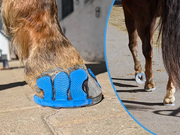 Kunststoffbeschlag mit offener Sohle - Detailaufnahme mit blauen Klebelaschen am Huf und Pferd mit Bekleb in Bewegegung.