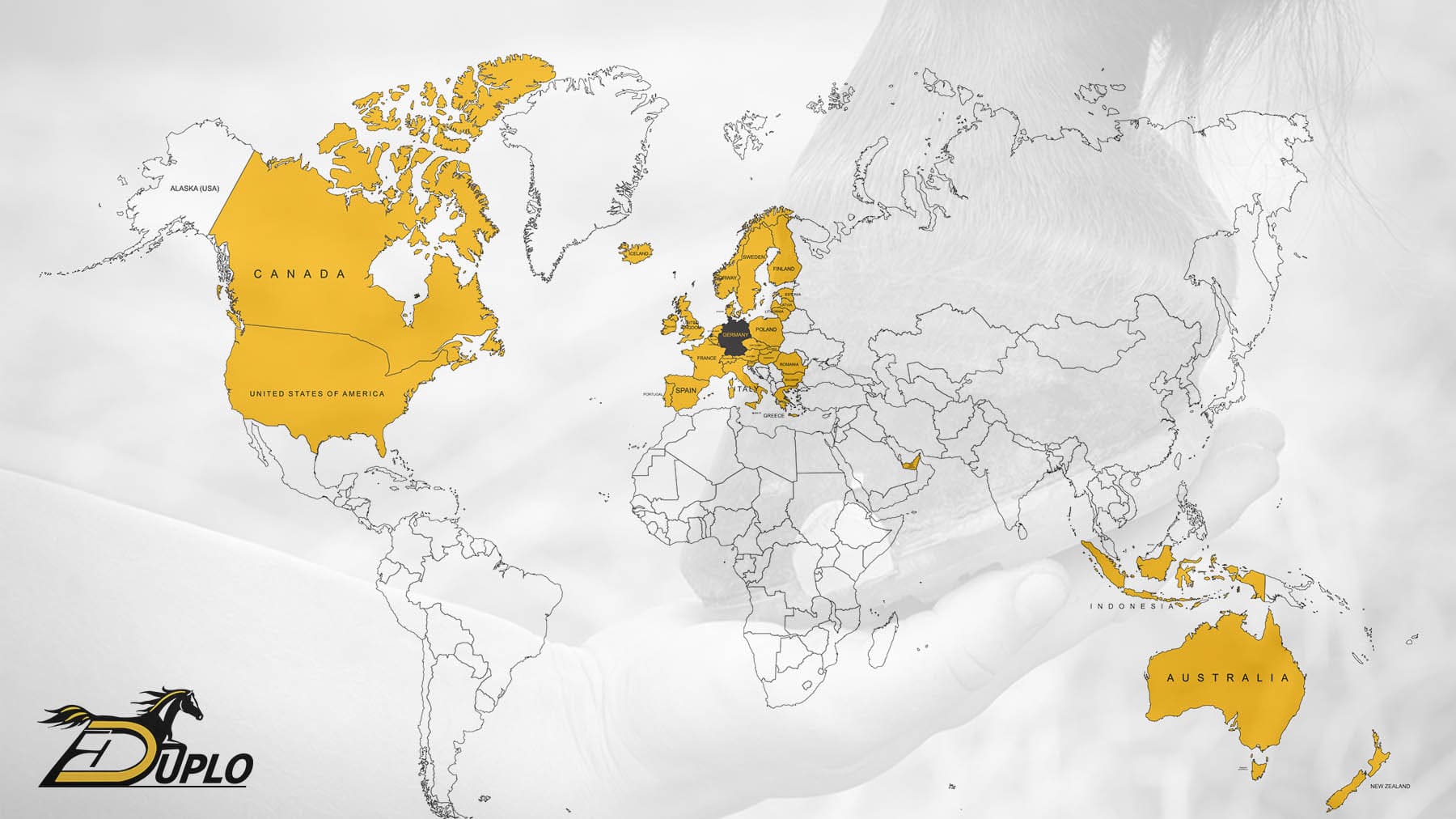 world map duplo