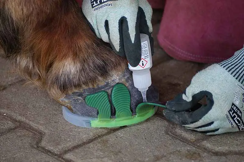 die Hufschmiedin kniet auf dem Pflasterboden neben dem Pferdehuf. Sie spreizt eine grüne Klebelasche seitlich ab, um den Sekundenkleber aufzutragen und den Bekleb an den Huf zu Kleben. Sie trägt Schutzhandschuhe.