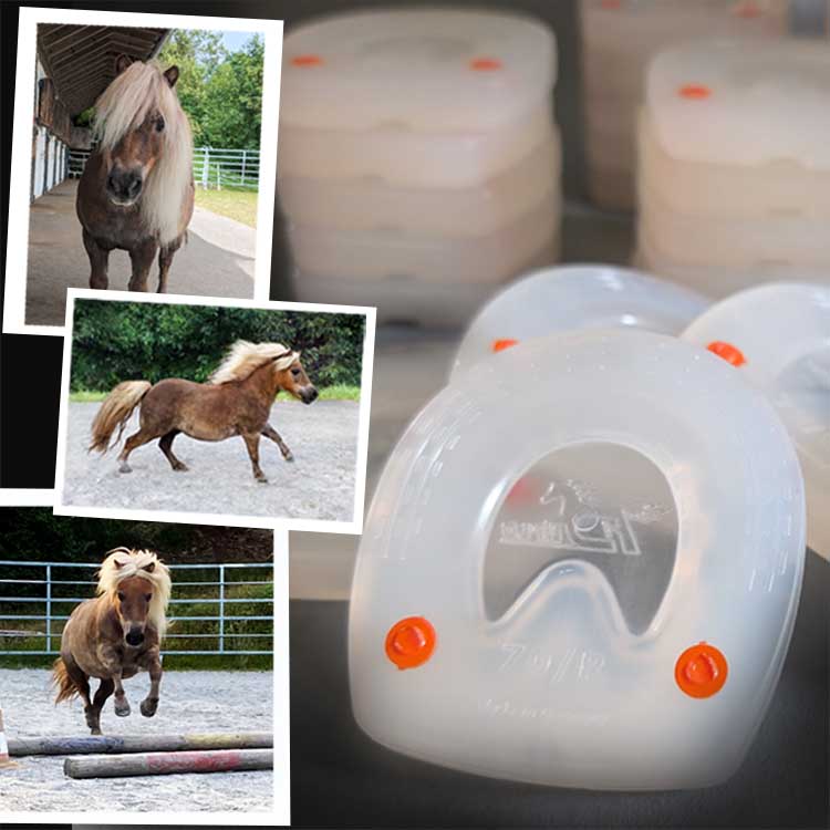 Pony Foto Gewinnspiel