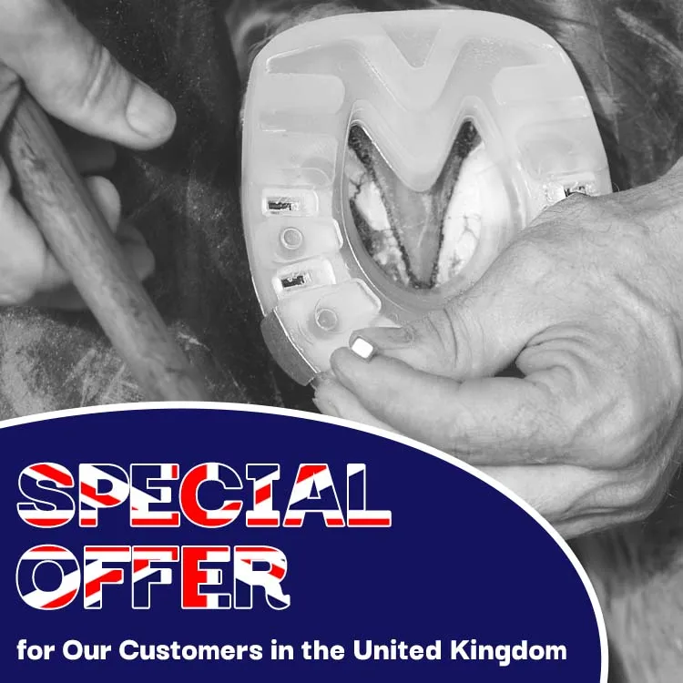 Special Shipping Terms for Our Customers in the United Kingdom