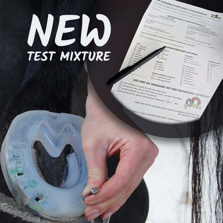 Testbeschlag