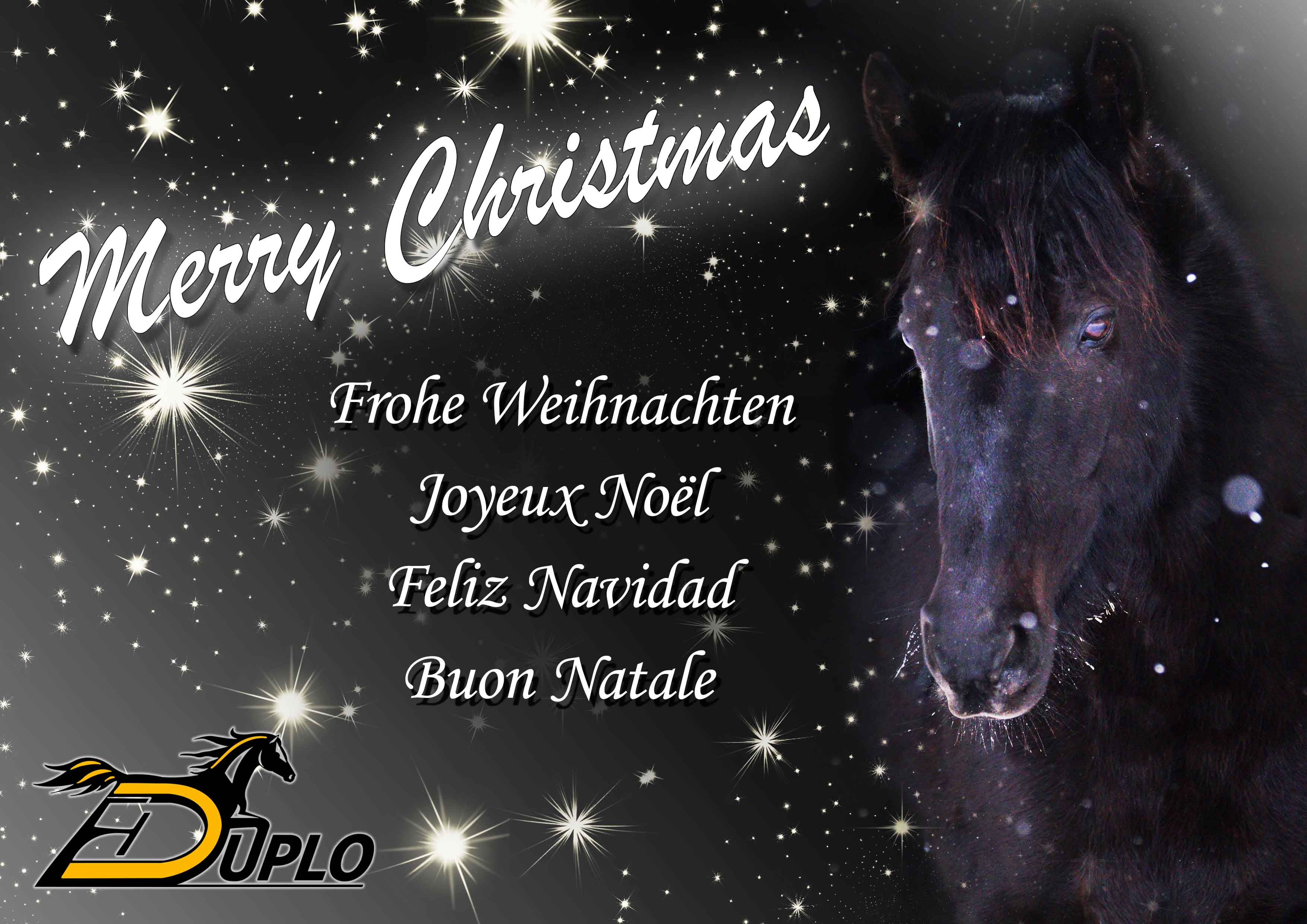 ¡Feliz Navidad y Próspero Año Nuevo! ¡Feliz Navidad y Próspero Año Nuevo!