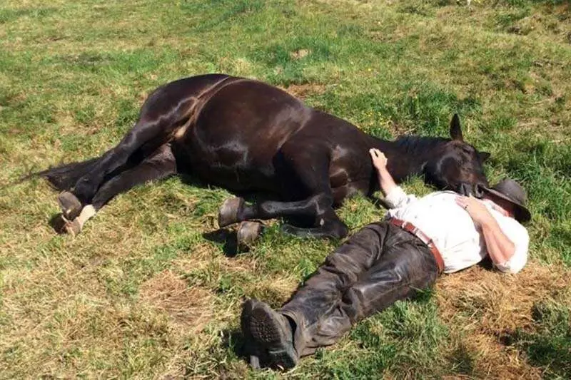 Pferd und Besitzer liegen nebeneinander in der Wiese.