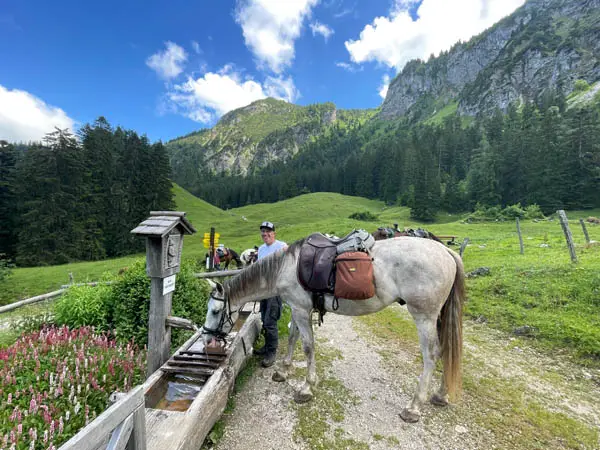 Kurze Trinkpause für ein Pferd von Equitours bei einem Trailritt im Chiemgau.