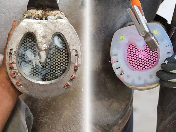 Dettagli di zoccoli con ferrature dotate di materiale protettivo per la suola. Sia nella ferratura alternativa sia nel ferro tradizionale è stato utilizzato il Mesh per chiudere la zona della suola.