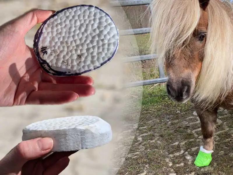 Un pony con una fasciatura verde sullo zoccolo in un paddock. Accanto una foto della piastra sagomata come base per la fasciatura, che fornisce ammortizzazione.