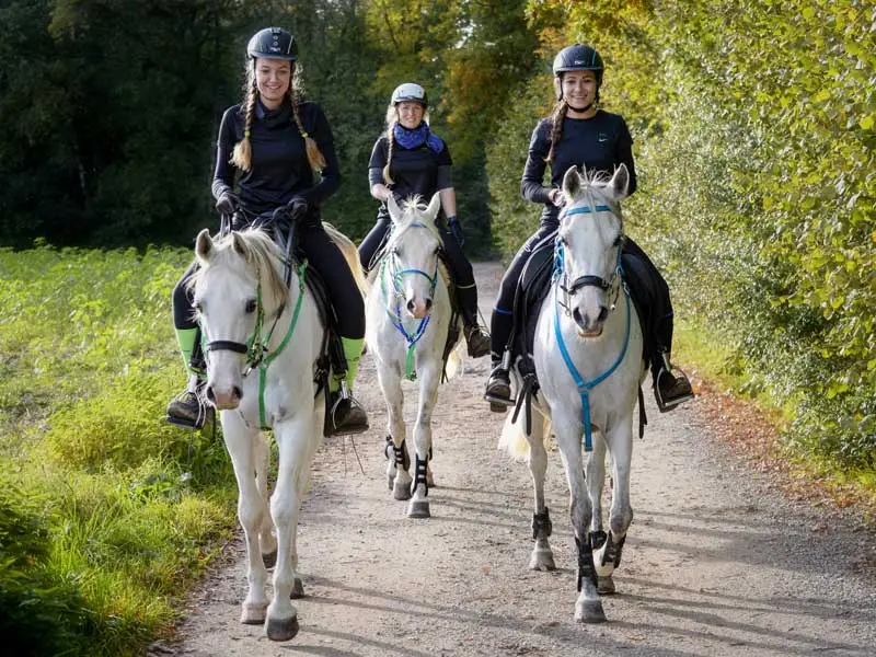 three endurance riders on white horses shod with plastic horseshoes; the horses wear breastplates in different colors, and the riders of the endurance team all wear helmets and dark clothing