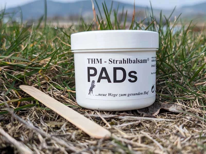 Strahlbalsam-Pads und Spatel auf einer Wiese
