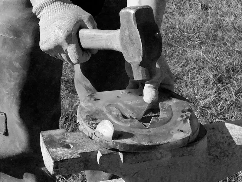 Close-up of a farrier leveling a horseshoe for a draft horse during a second shoeing period. The horseshoe rests on the anvil while it is being worked with a forging hammer.