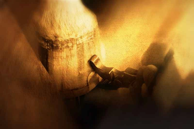 goldenes Imagebild beim Vernieten am Pferdehuf