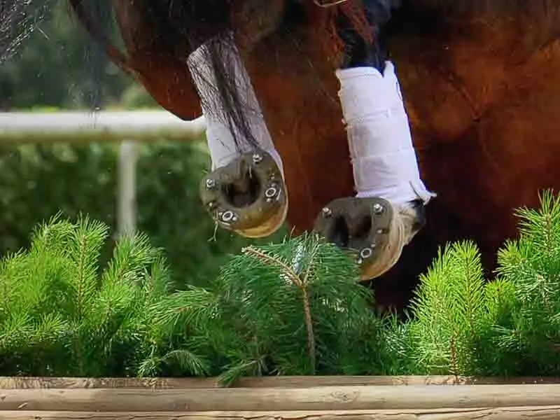 Detailaufnahme der Hufe eines Springpferdes beim Springen über ein Hindernis. Das Pferd ist mit dem Jumper beschlagen - einem speziellen Verbundhufeisen für das Springreiten mit vier Stollenlöchern und stoßdämpfendem Kunststoffmantel.