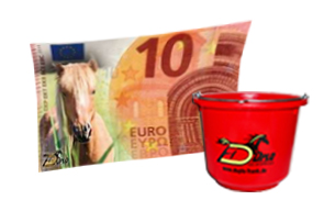 A ten-euro bill with a horse's head and company logo as a symbol of the compensation for writing a personal experience report.