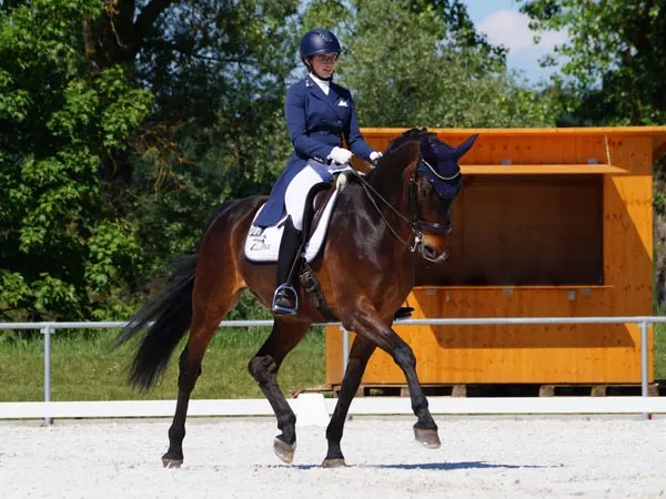 Das Foto zeigt eine Dressur-Reiterin bei einem Turnier.