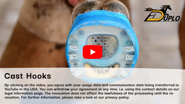 Video: Correctly Applying a Cast Shoe