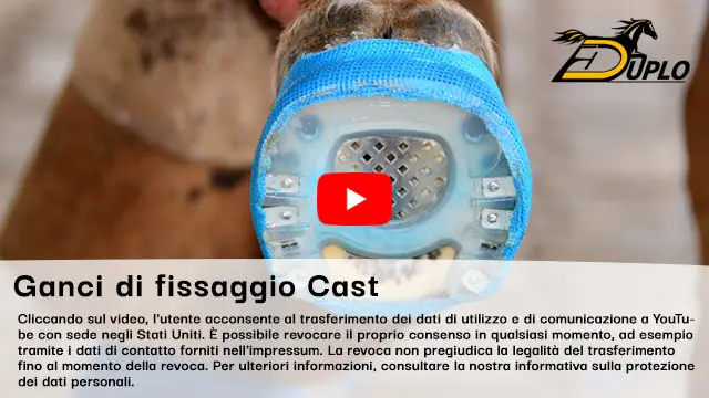 una ferratura a punta aperta viene fissata sullo zoccolo con una bendaggio cast e dei ganci di fissagio cast