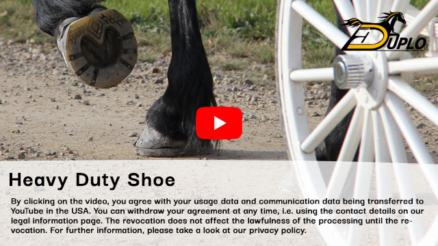 view of the large hooves of a Percheron horse pulling a carriage