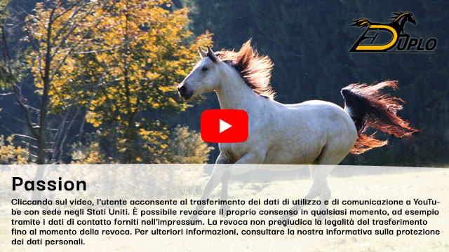 Quarterhorse galoppa in un paddock in autunno