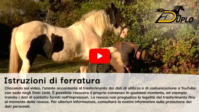 un conducente di cavalli da soma alza lo zoccolo del suo cavallo da soma